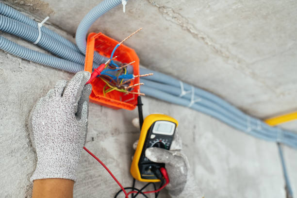 Best Local Electrician Companies  in Biscayne Park, FL